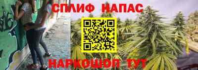 винт Анапа
