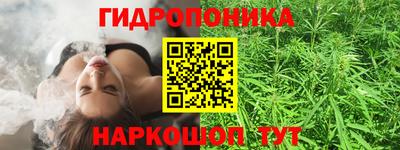 винт Анапа