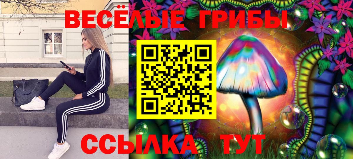где продают   Псилоцибиновые грибы прущие грибы  Галлюциногенные грибы Psilocybine cubensis  Вход с VPN  Каменск-Шахтинский 