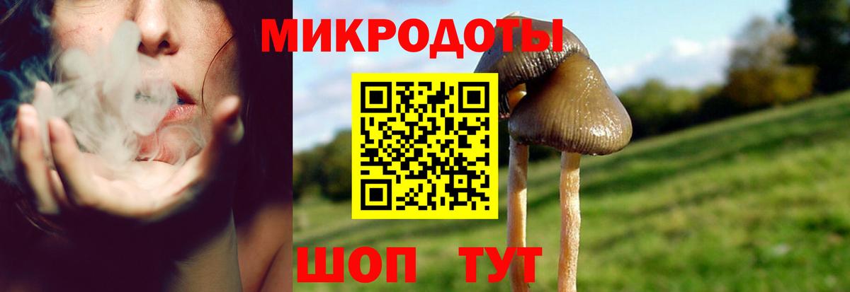 Псилоцибиновые грибы Cubensis Каменск-Шахтинский